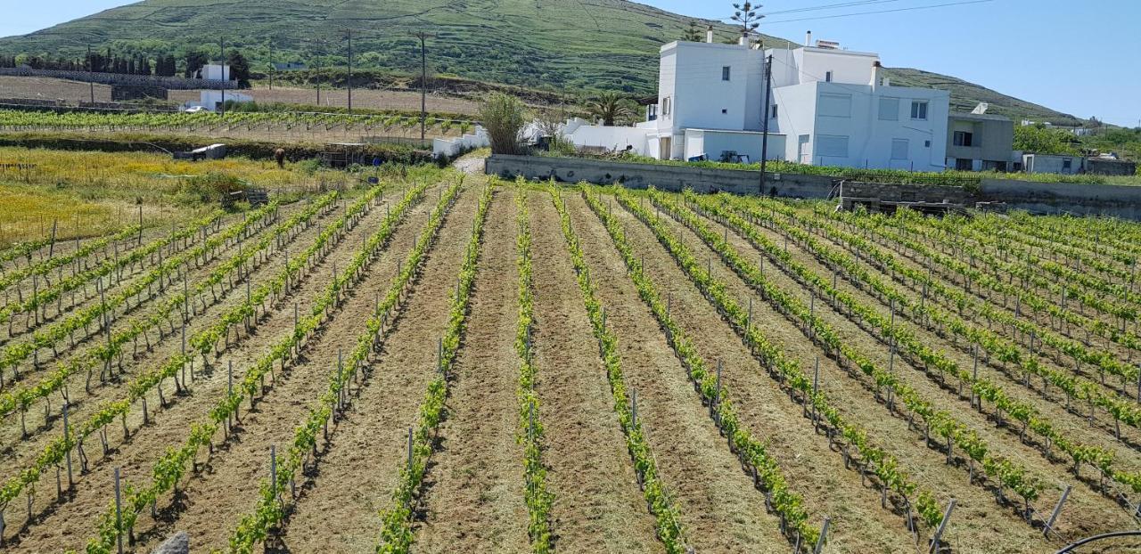 Villa Arokaria Stení Dış mekan fotoğraf