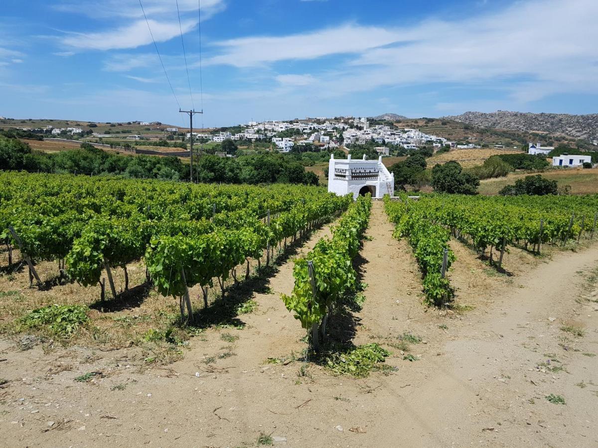 Villa Arokaria Stení Dış mekan fotoğraf